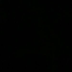 Meet your Posher, Kortney